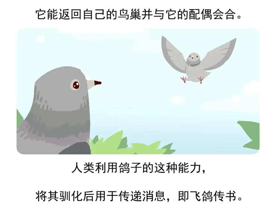 《胖达x胖达》第46话 第28页