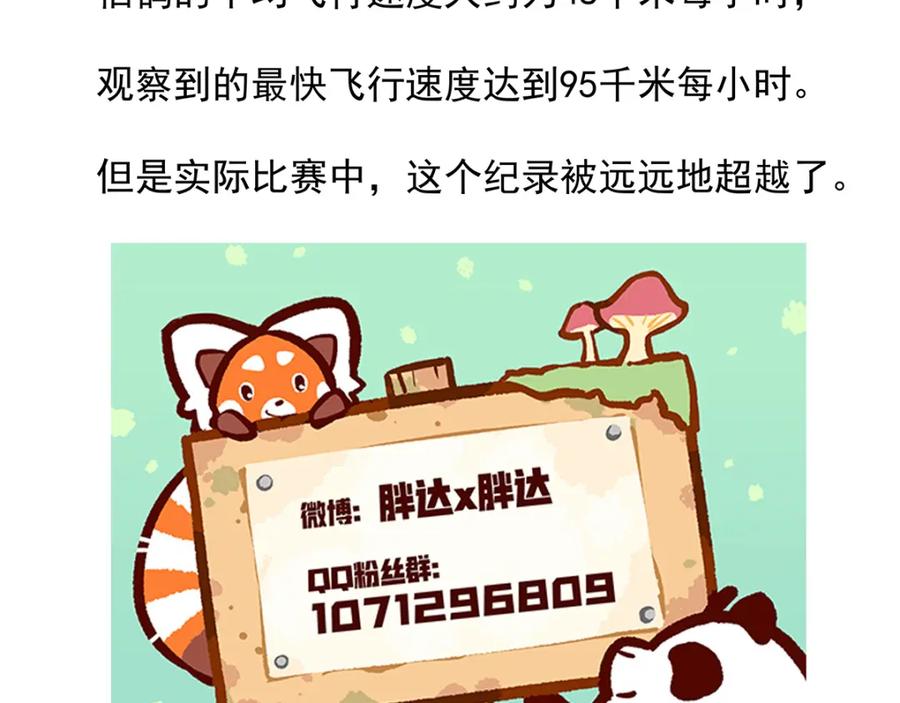 《胖达x胖达》第46话 第30页