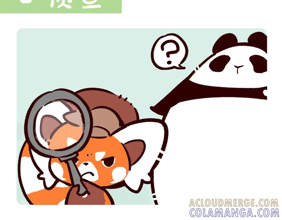 《胖达x胖达》第47话 第15页