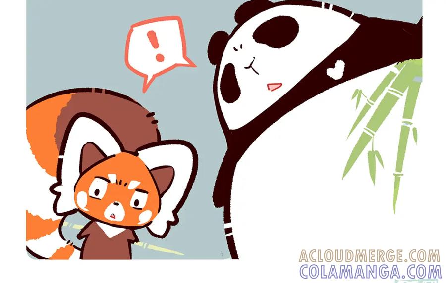 《胖达x胖达》第47话 第11页