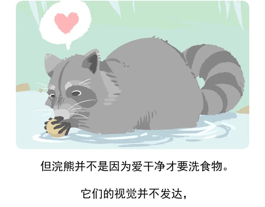 《胖达x胖达》第47话 第28页