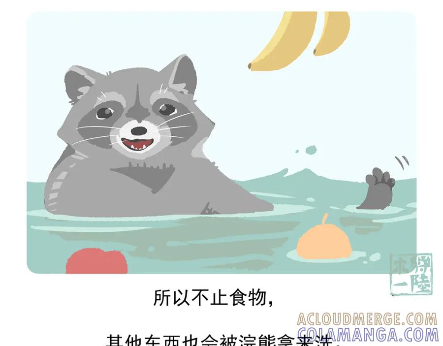 《胖达x胖达》第47话 第31页