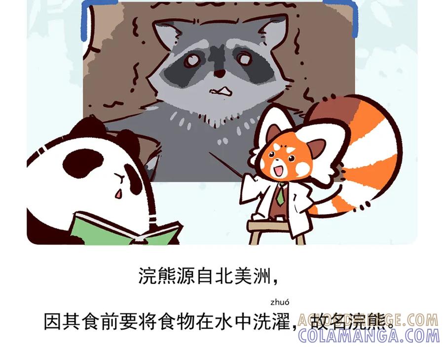 《胖达x胖达》第47话 第27页
