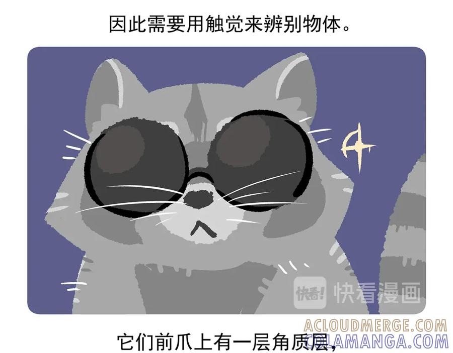 《胖达x胖达》第47话 第29页