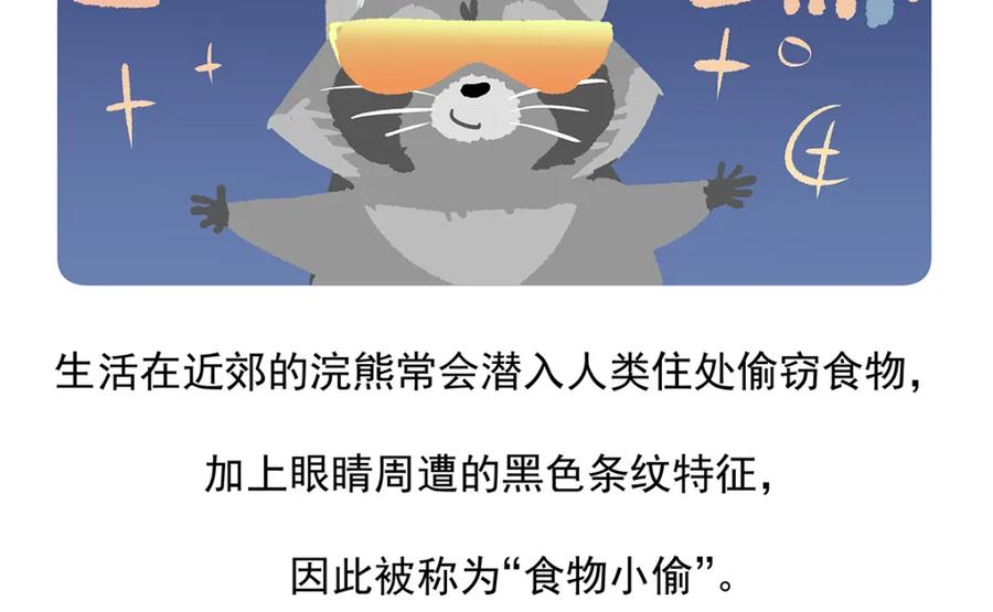 《胖达x胖达》第48话 第30页