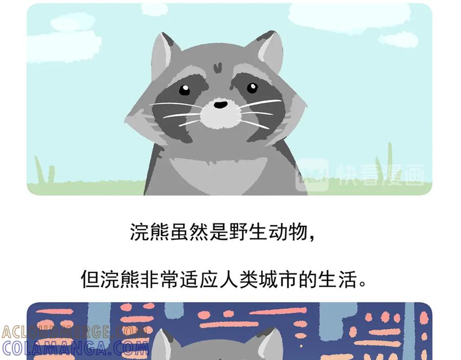 《胖达x胖达》第48话 第29页