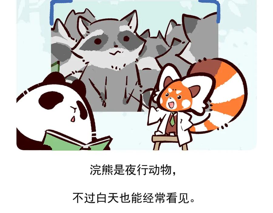 《胖达x胖达》第48话 第28页