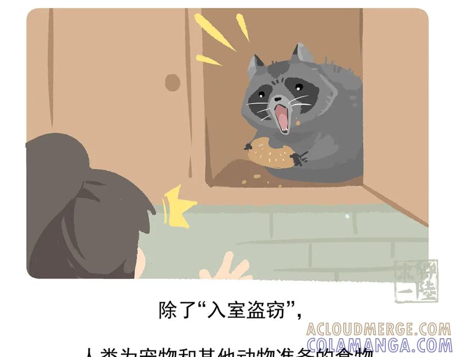 《胖达x胖达》第48话 第31页