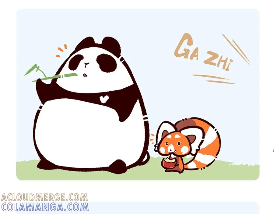 《胖达x胖达》第49话 第3页