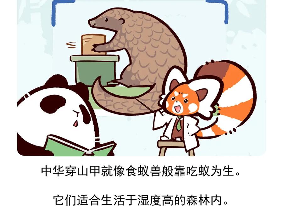《胖达x胖达》第49话 第26页