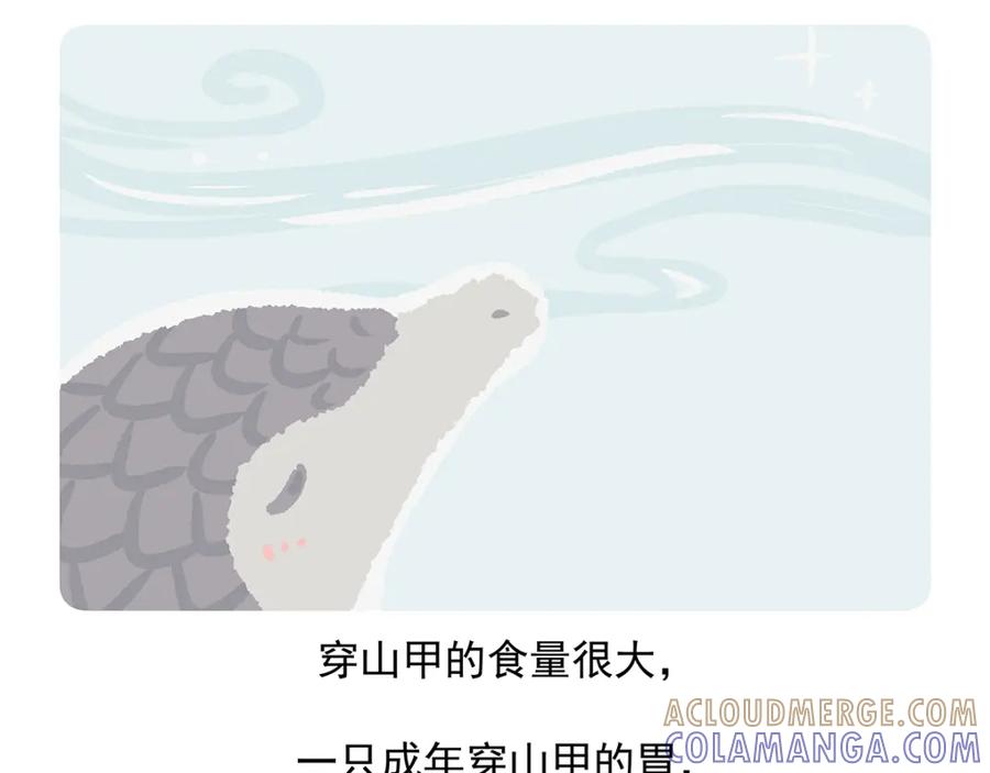 《胖达x胖达》第49话 第23页