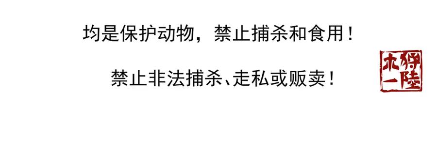 《胖达x胖达》第49话 第18页
