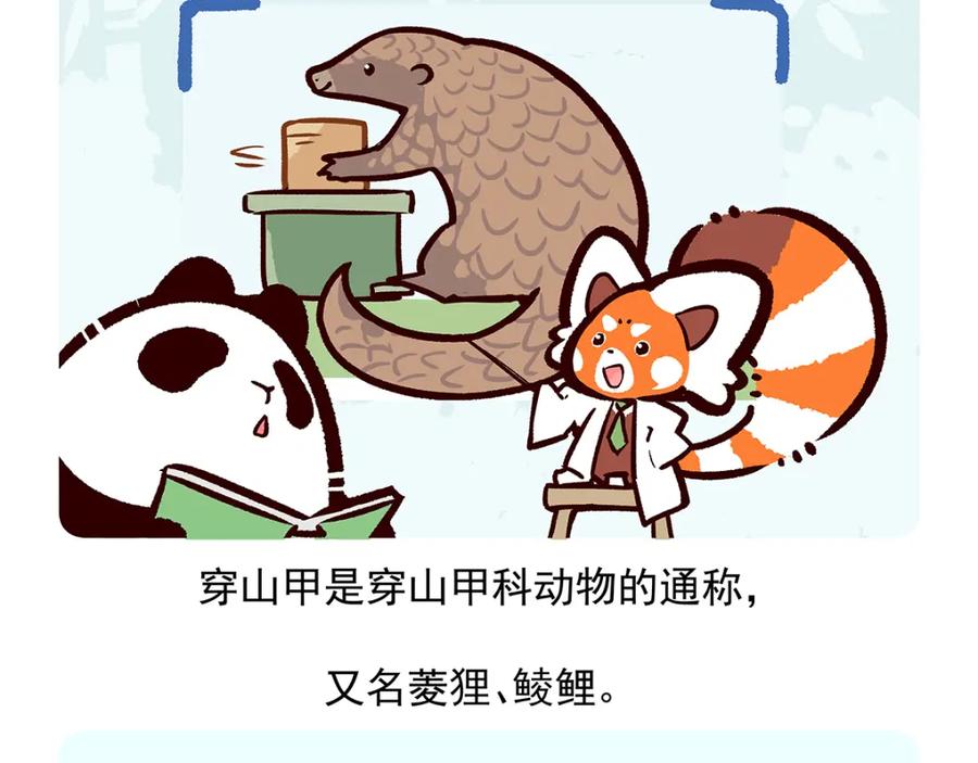 《胖达x胖达》第49话 第14页