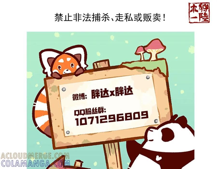《胖达x胖达》第49话 第31页
