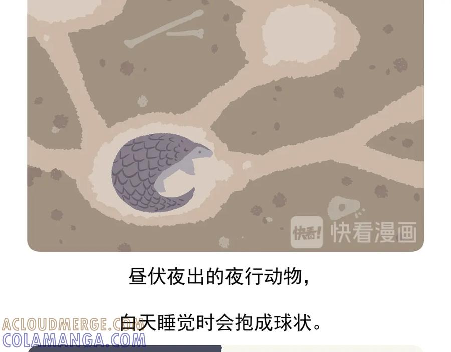 《胖达x胖达》第49话 第21页
