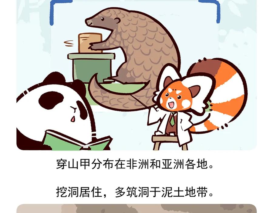 《胖达x胖达》第49话 第20页