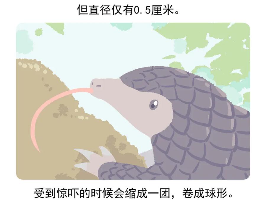 《胖达x胖达》第49话 第16页