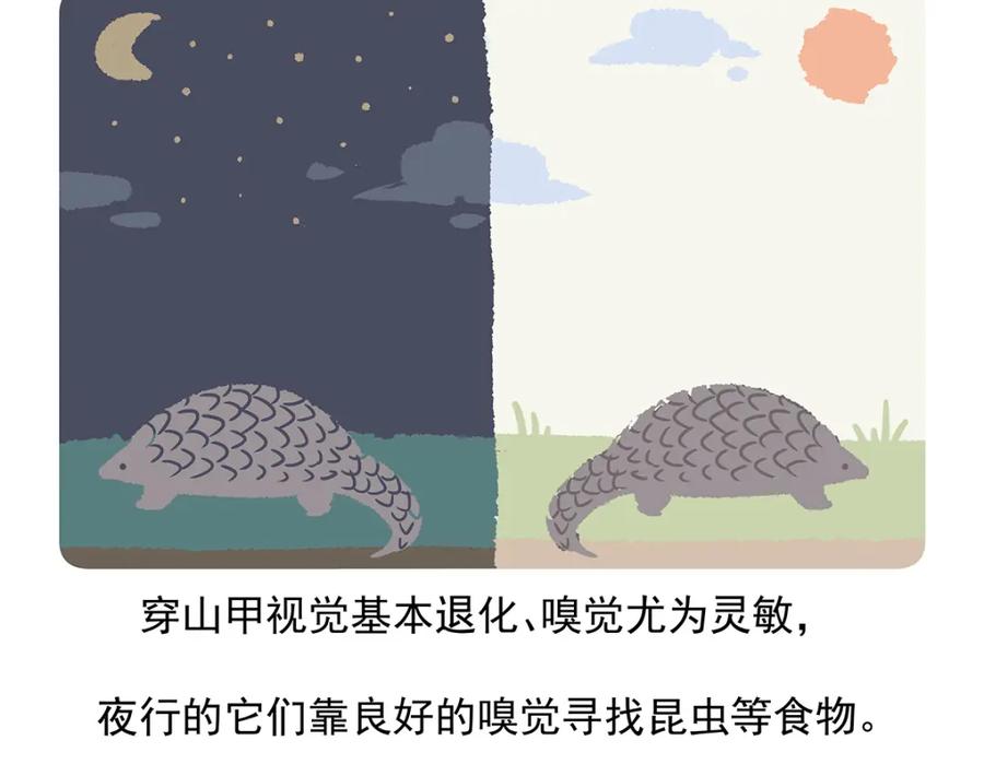 《胖达x胖达》第49话 第22页