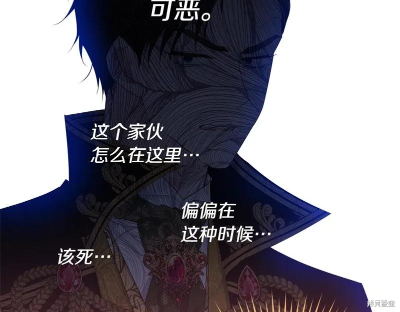 《明明是冷美人小姐却变成了忠犬大少爷》第73话 第96页