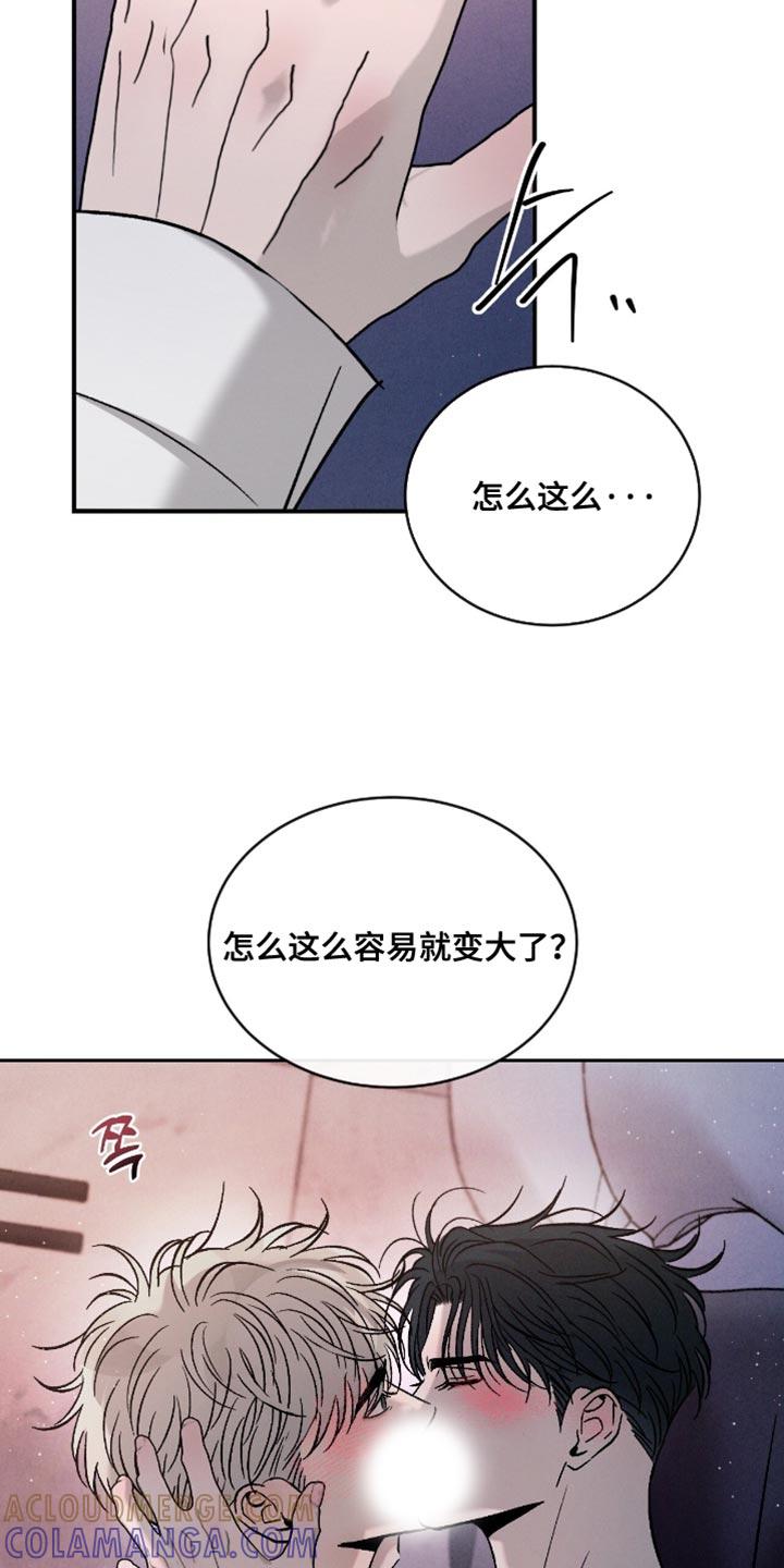 《危险建议》第179章：【番外】分不清 第13页