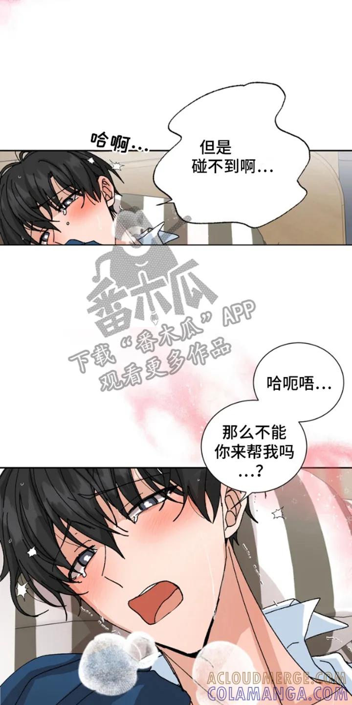 别样新婚 - 第17章：说谎 - 第2张图