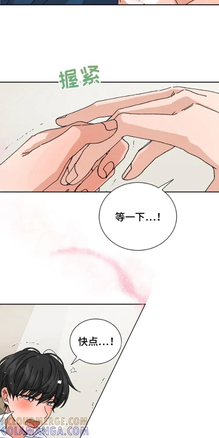 别样新婚 - 第17章：说谎 - 第3张图