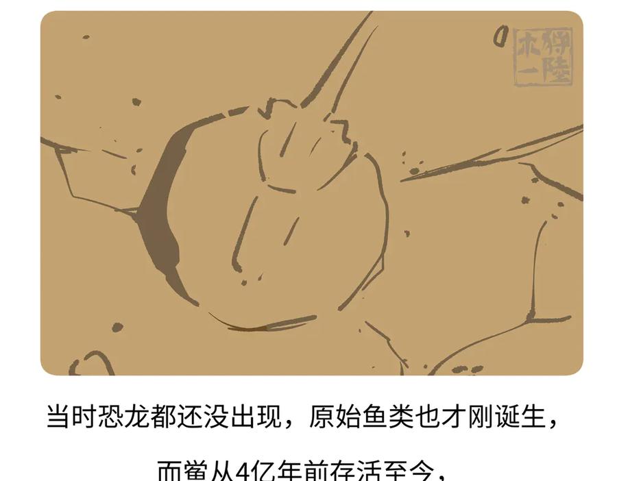 《胖达x胖达》第277话 第22页
