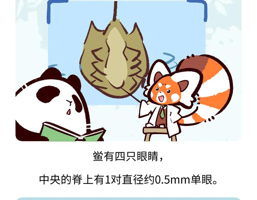 《胖达x胖达》第277话 第26页