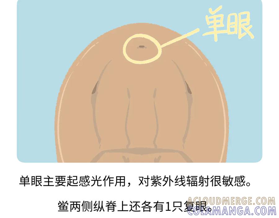 《胖达x胖达》第277话 第27页