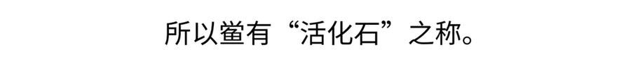 《胖达x胖达》第277话 第24页