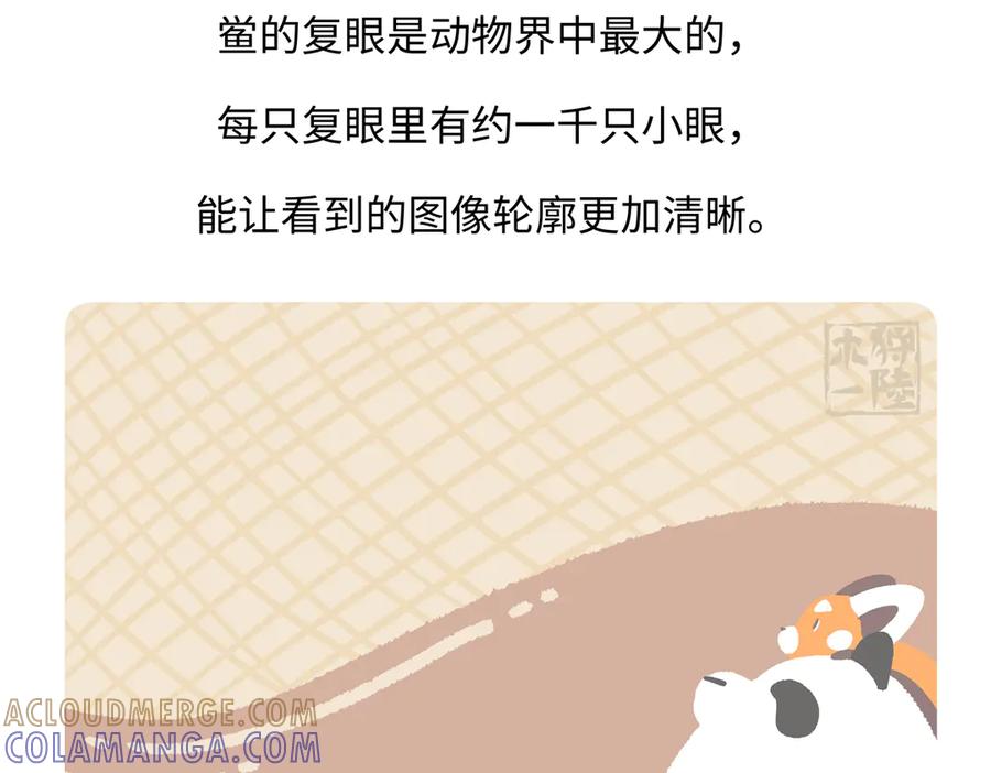 《胖达x胖达》第277话 第29页