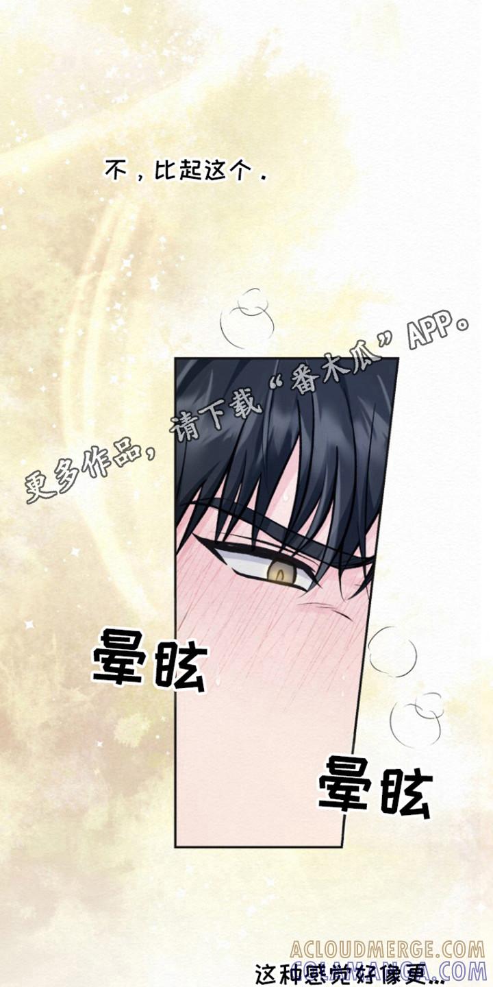 《给记忆添香》第23章：别后悔 第13页