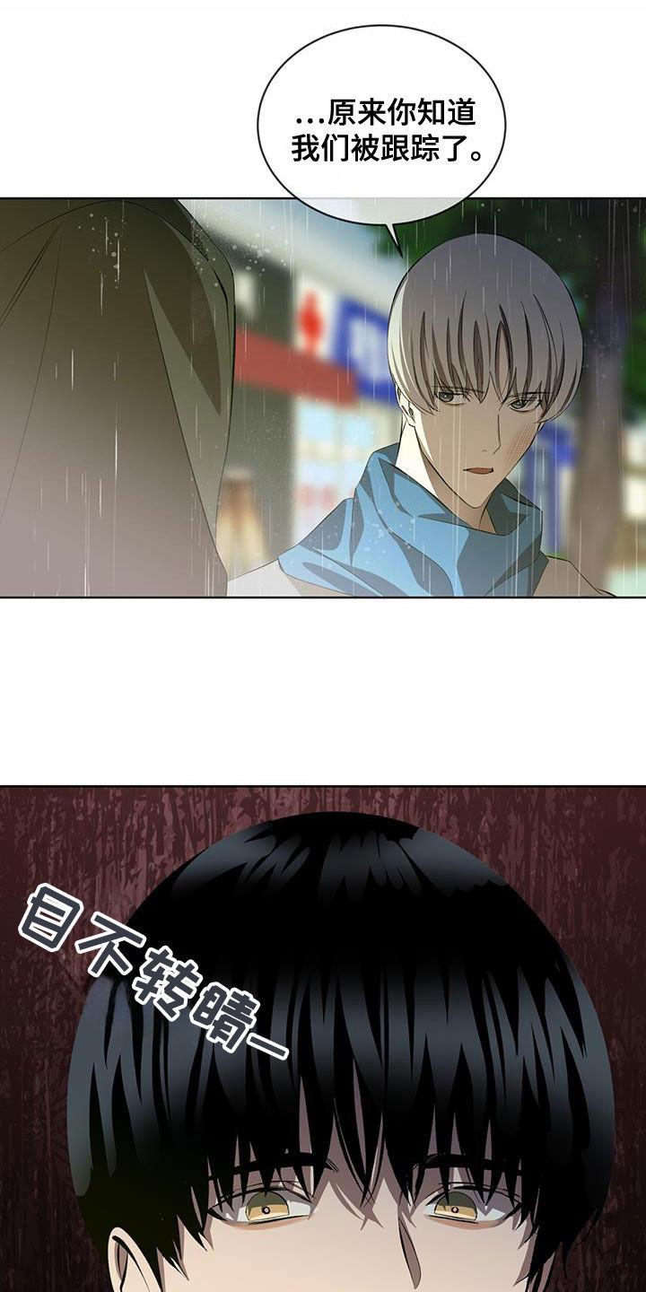 《法外狂徒》第44章：走着瞧 第24页