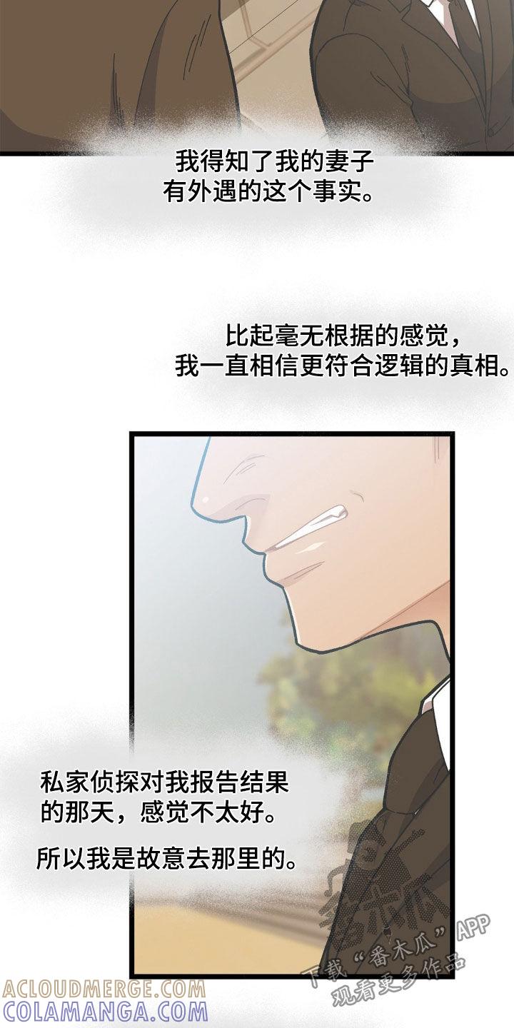《浴火重生》第45章：外遇 第15页