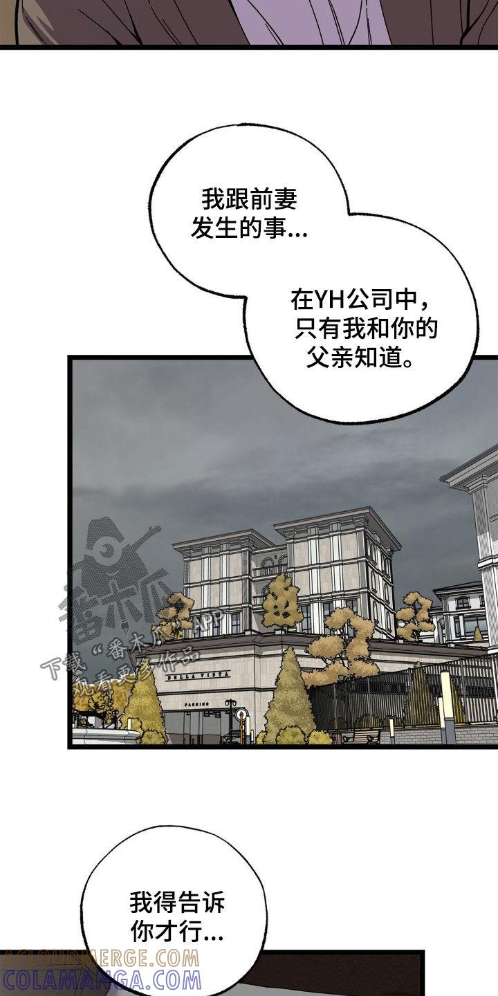 《浴火重生》第45章：外遇 第13页