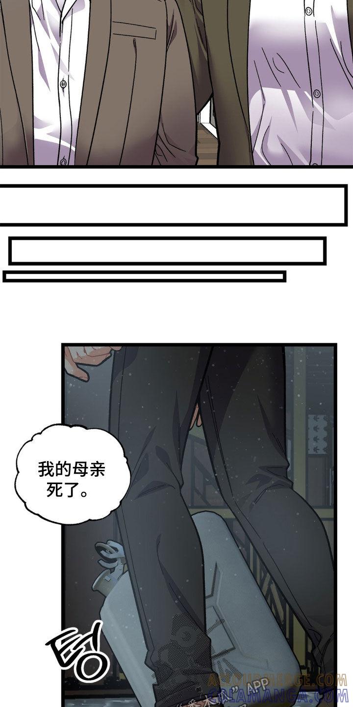 《浴火重生》第48章：悲惨人生 第17页