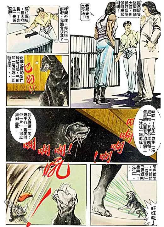 古惑仔 第48回 第28页