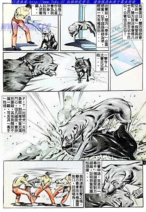 古惑仔 第49回 第4页
