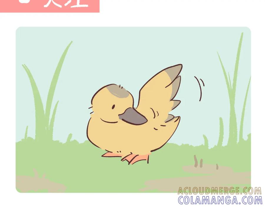 《胖达x胖达》第268话 第13页