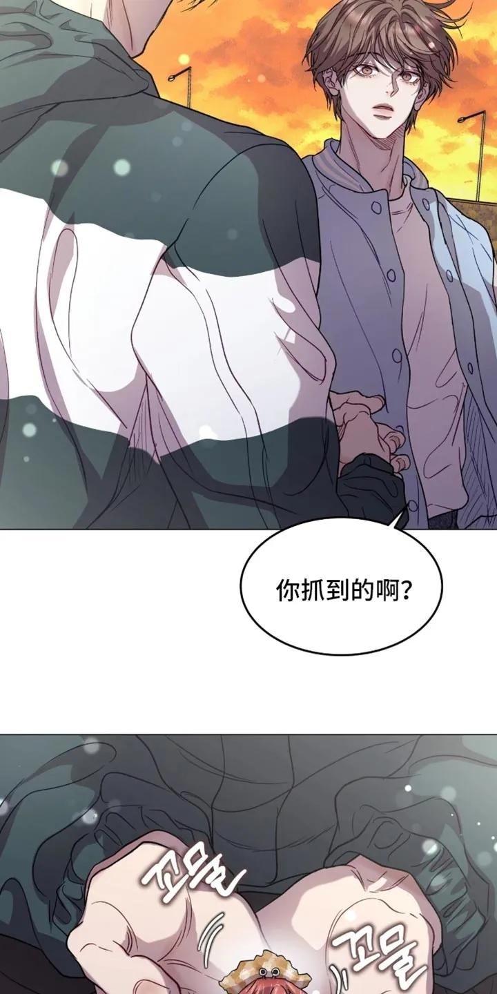 《虚情假意》第173章：【番外】一起拍照 第6页