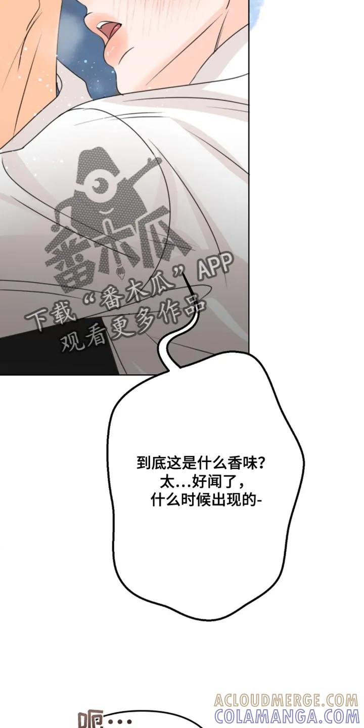 香味的边界 - 第53章：我们玩一整夜吧 - 第23张图