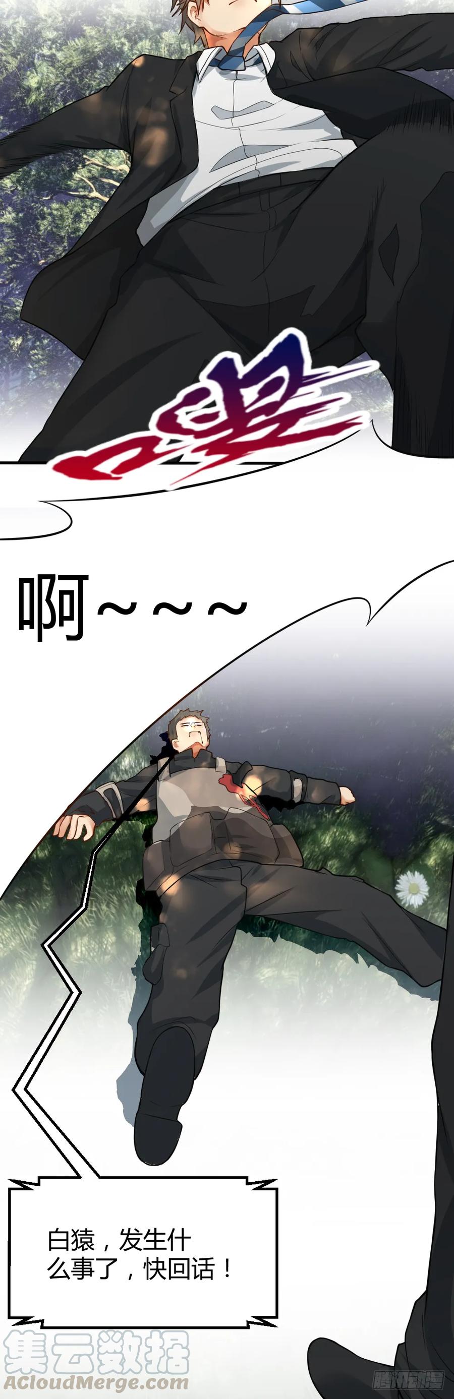 绝世天才系统 团灭 第13页