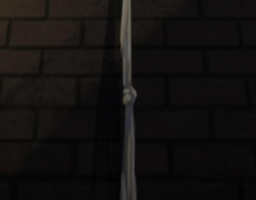 156.jpg