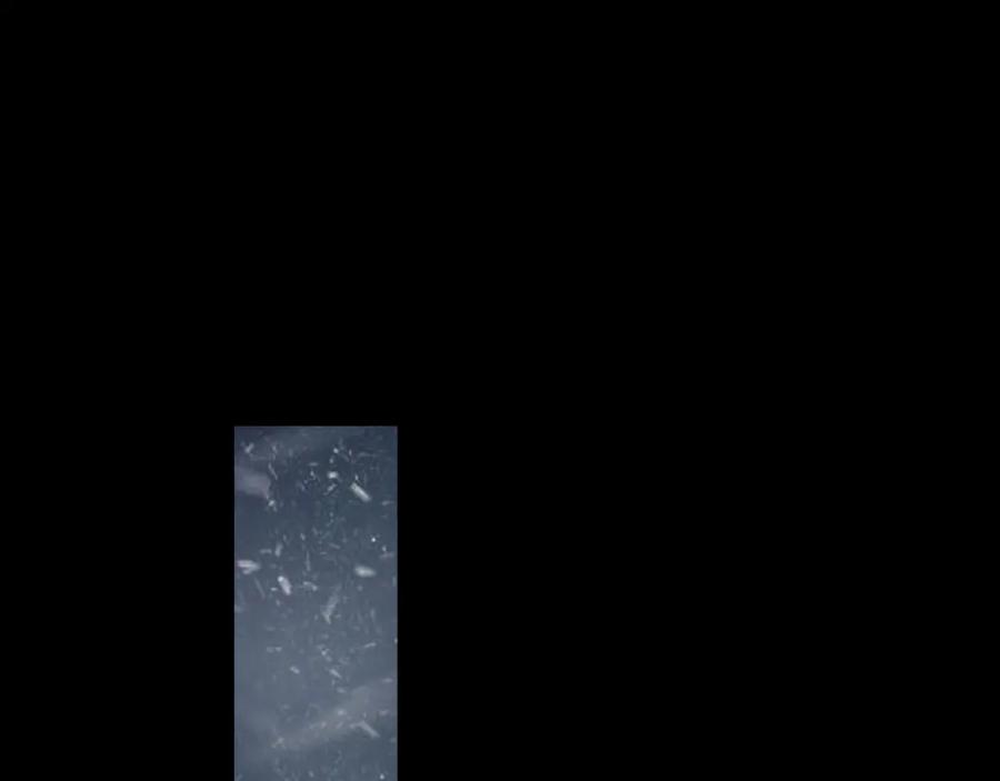 87.jpg