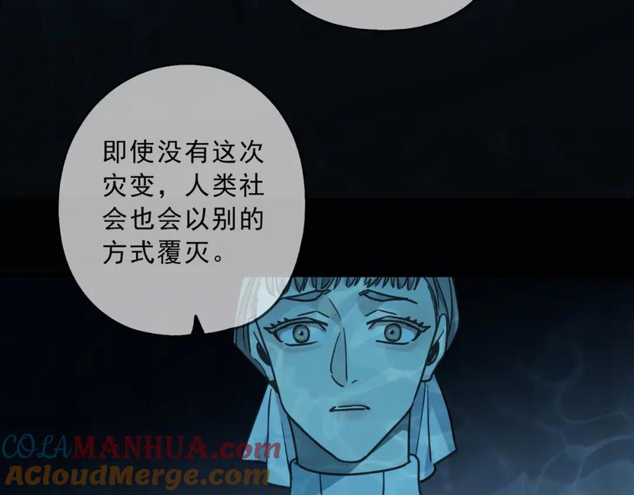 213.jpg
