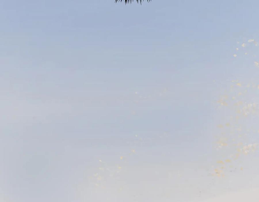 64.jpg