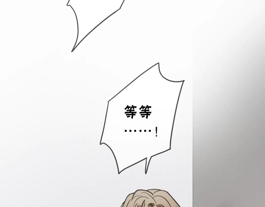 95.jpg