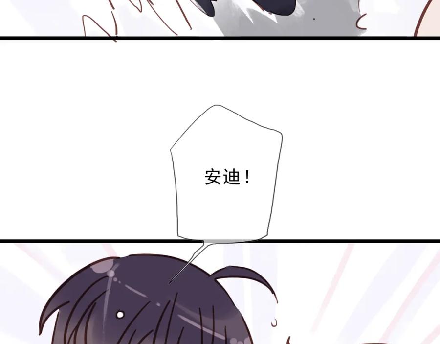 51.jpg