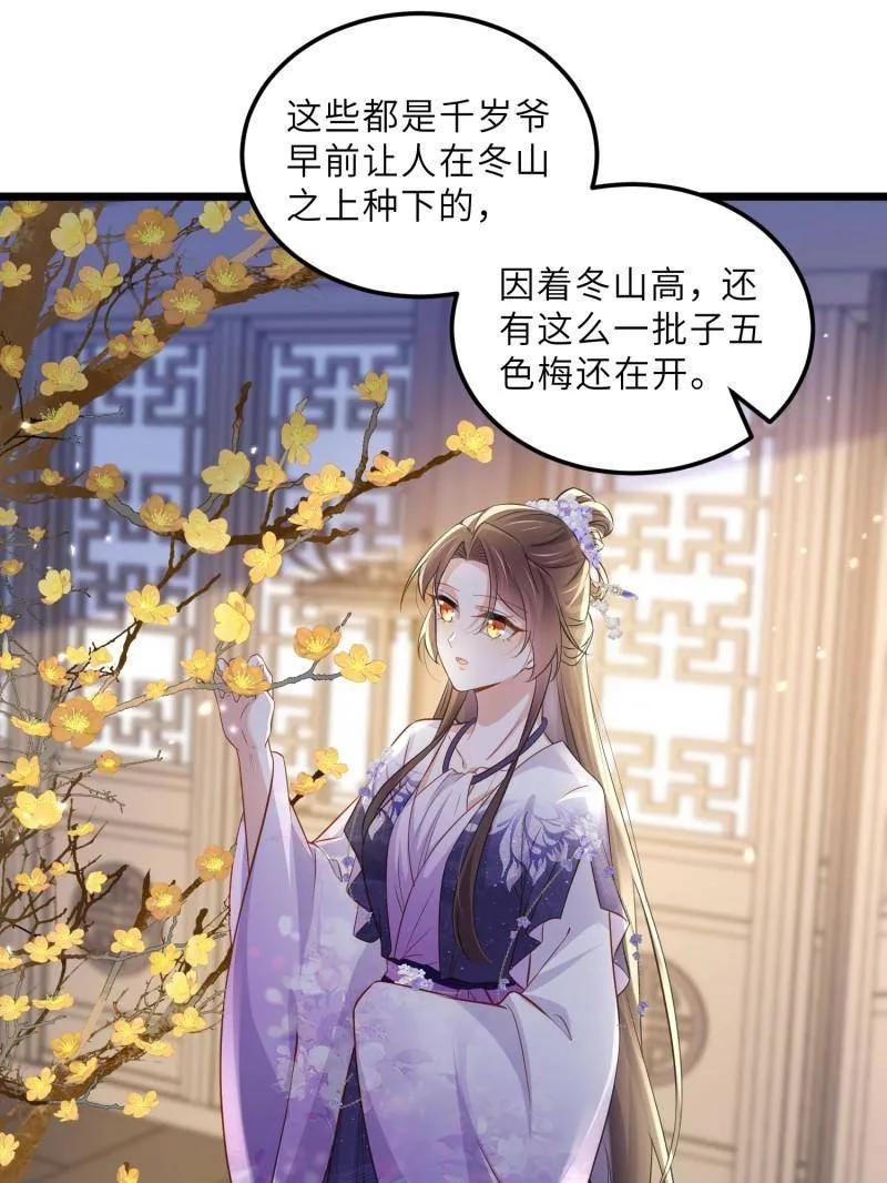 宦妃天下（太监王爷强娶我） 第401话 百里赫云离开 第24页