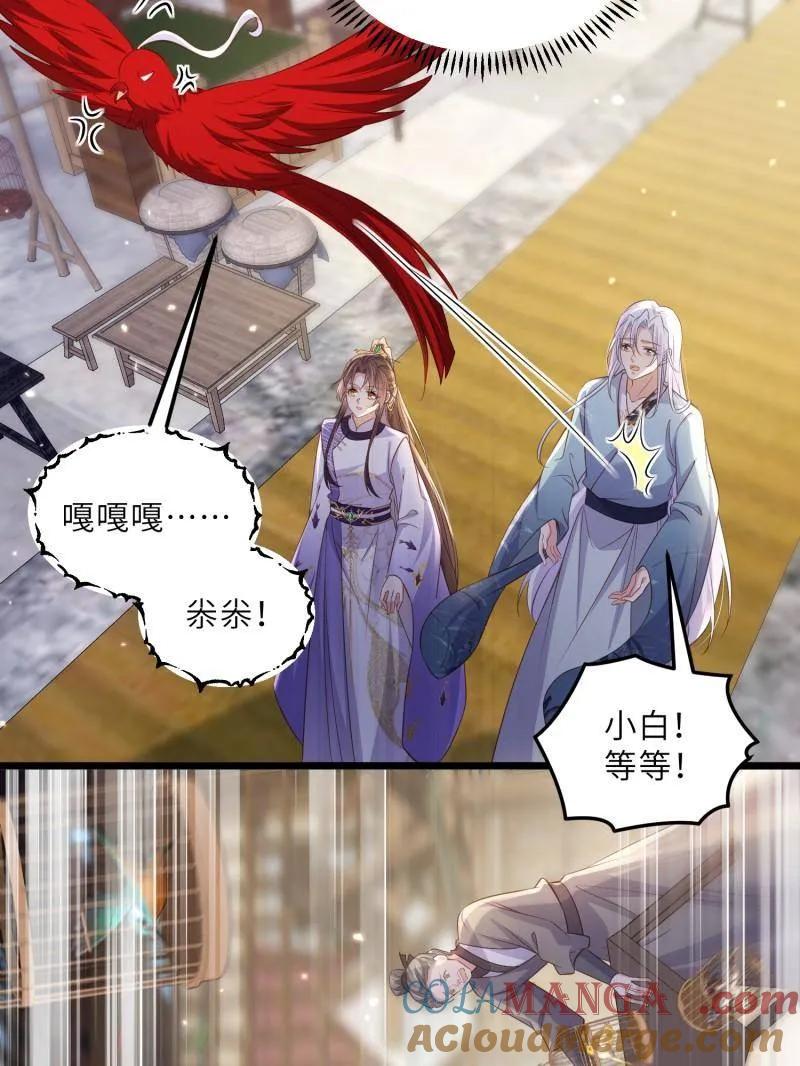宦妃天下（太监王爷强娶我） 第401话 百里赫云离开 第37页